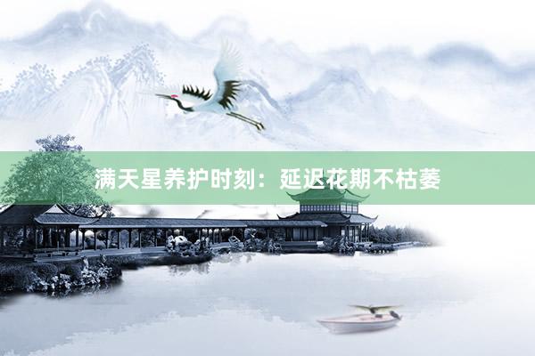 满天星养护时刻：延迟花期不枯萎